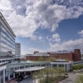 The Comprehensive Approach of Charlottesville VA Government to Public Health and Sanitation